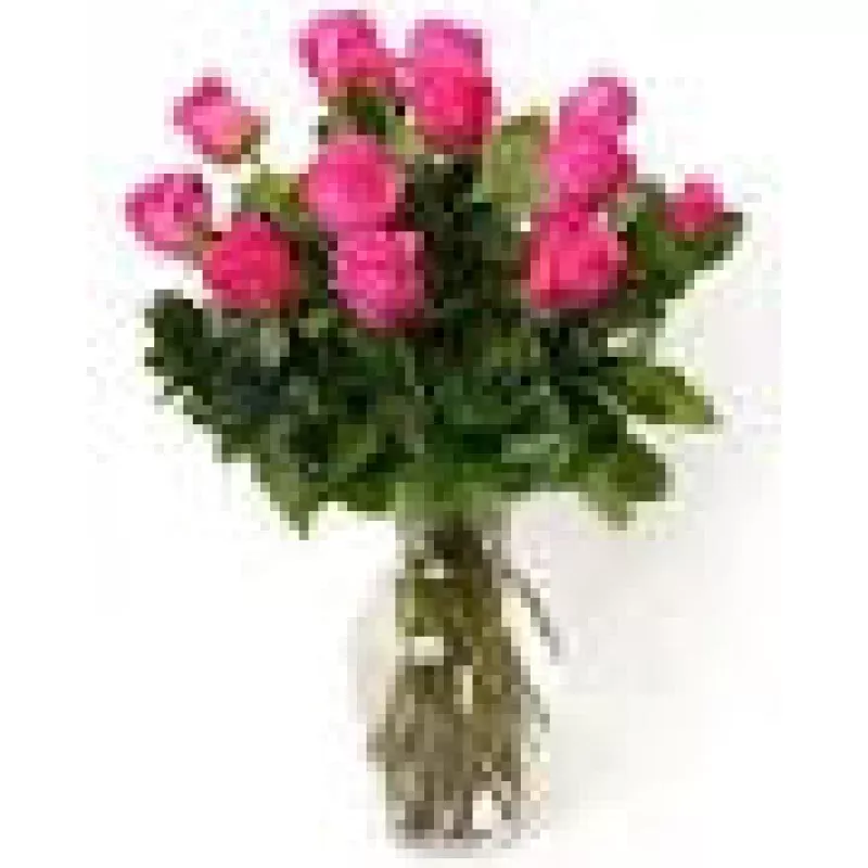 1 Dozen Hot Pink Roses