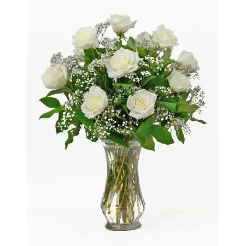 1 Dozen white roses