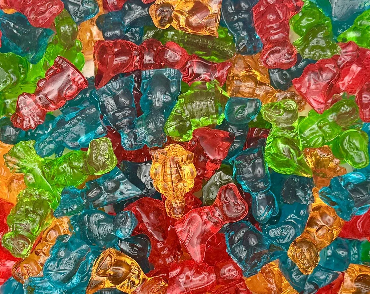 3D Gummy Dinosaurs - 2.2 lbs.