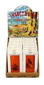 Amber InsectNside Toffee Candy - 24 / Box