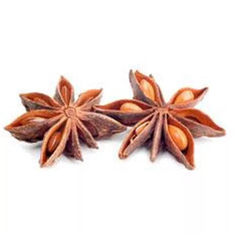 Anise Extract (6 oz.)