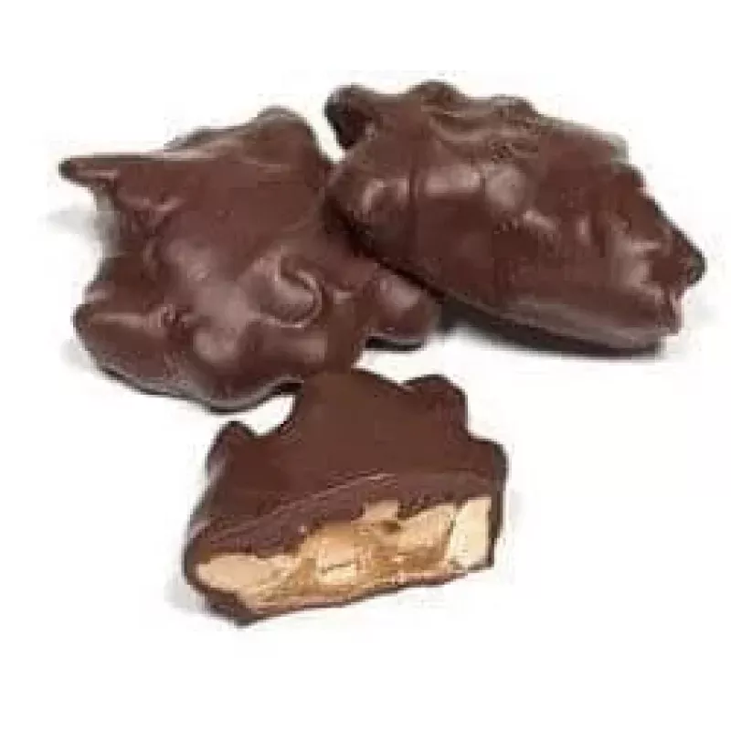 Asher Sugar Free Dark Chocolate Cashew Caramel Pattie