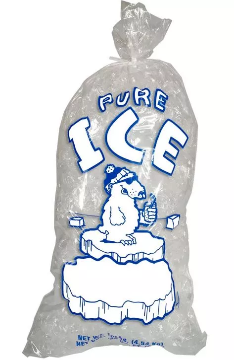 Crystal Printed Ice Bags #10 - 1000ct