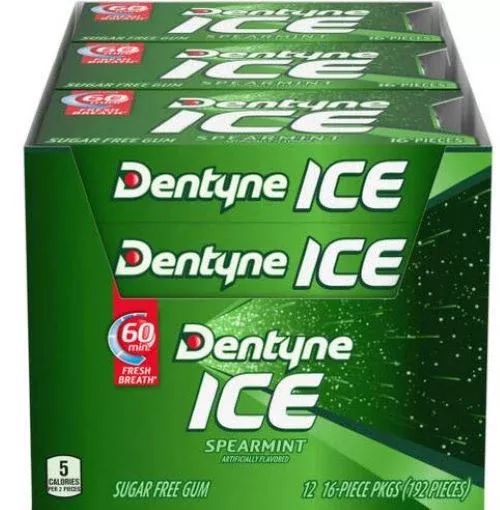 Dentyne Ice Spearmint Chewing Gum 16pc (Pack of 9)