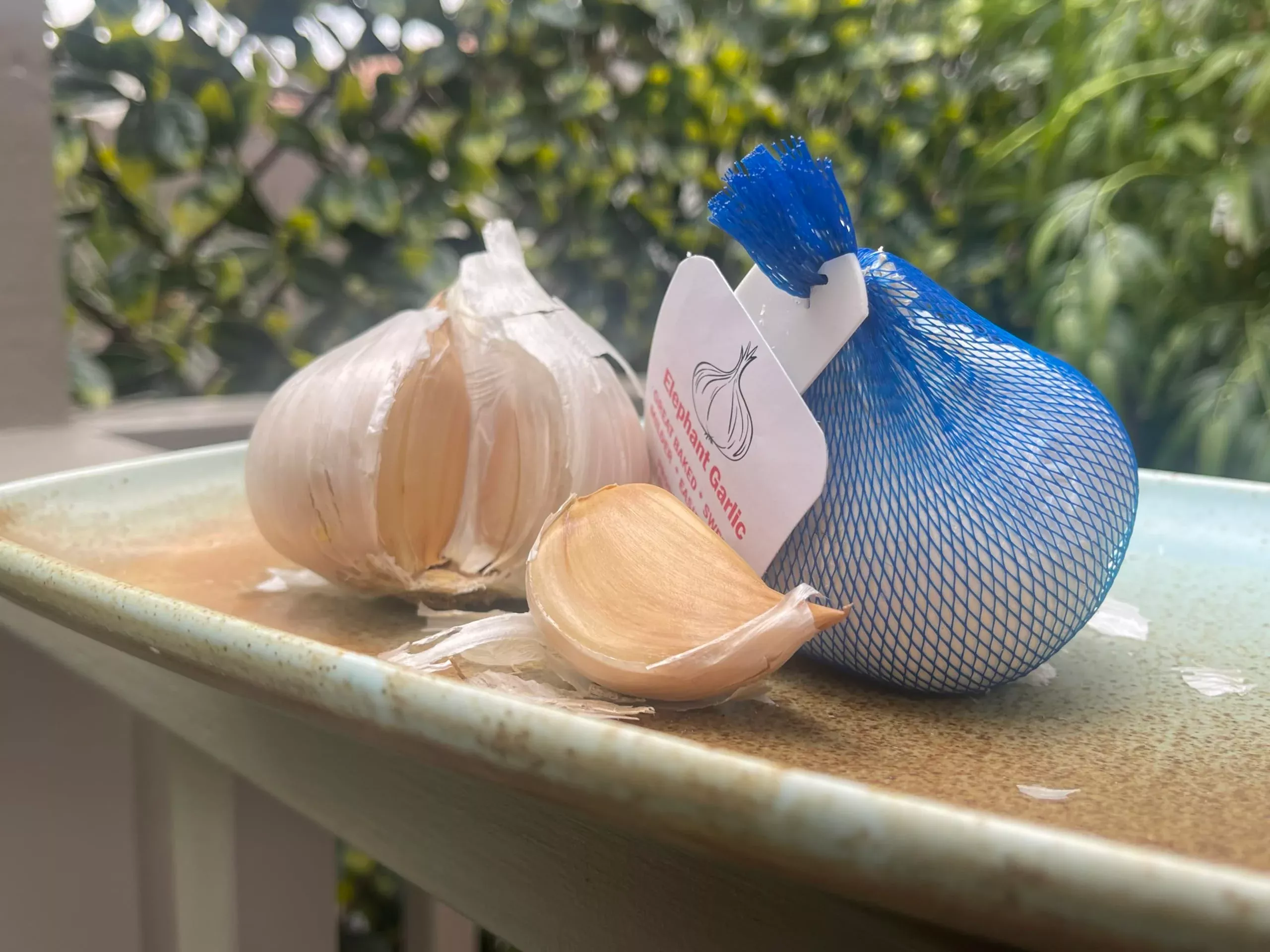 Elephant Garlic 2 Huge Bulbs! Great For Fall Planting! Non Gmo Milder Tasting Garlic
