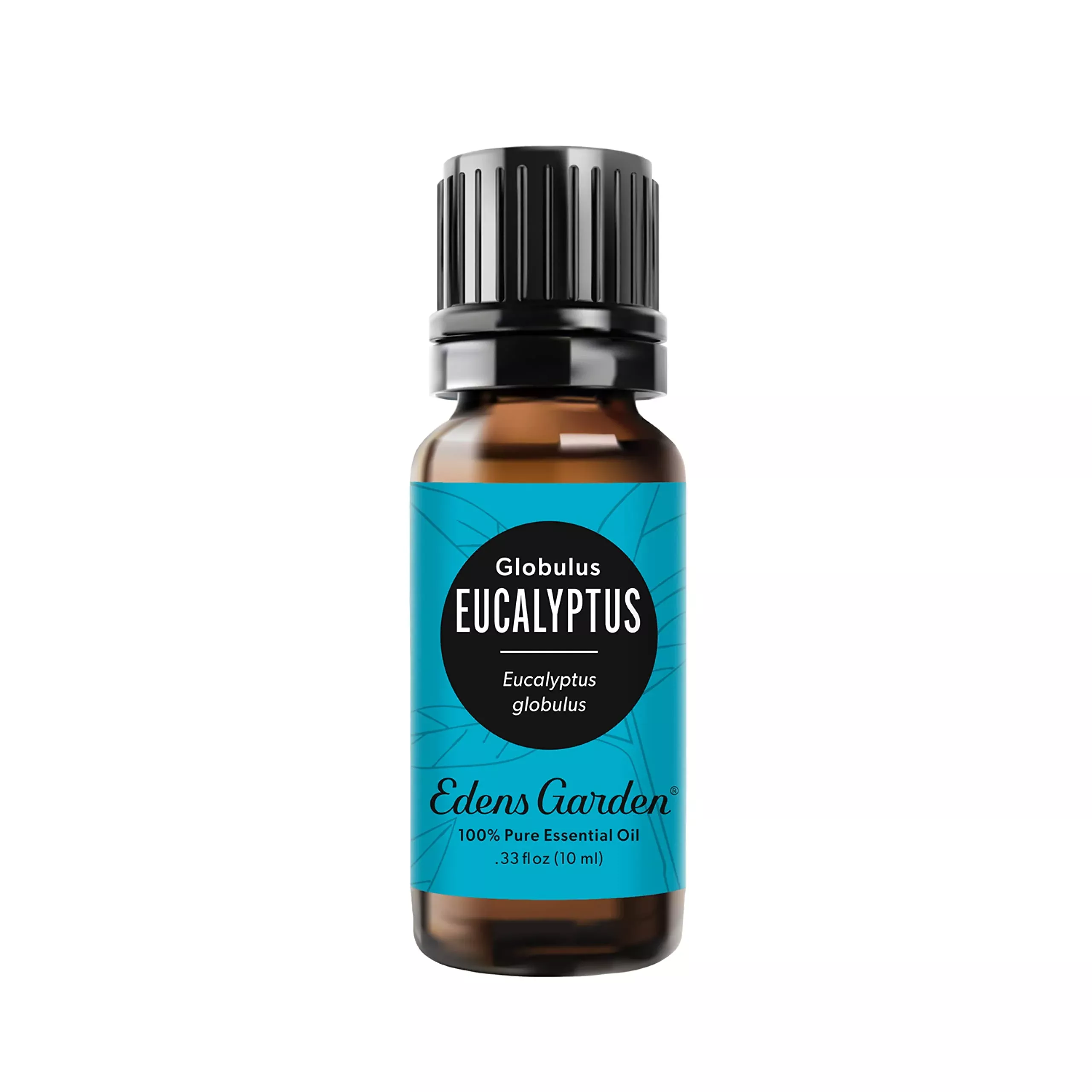Eucalyptus 100% Pure Therapeutic Grade Essential Oil- 10 Ml
