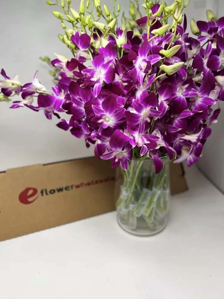 Fresh Cut Purple Orchid With Custom Printed Ribbon (30 Stems With Vase)