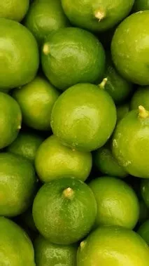 Fresh Key Limes 3 Lbs.