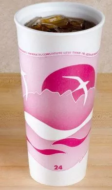 Horizon Hot/Cold Cups 24 oz