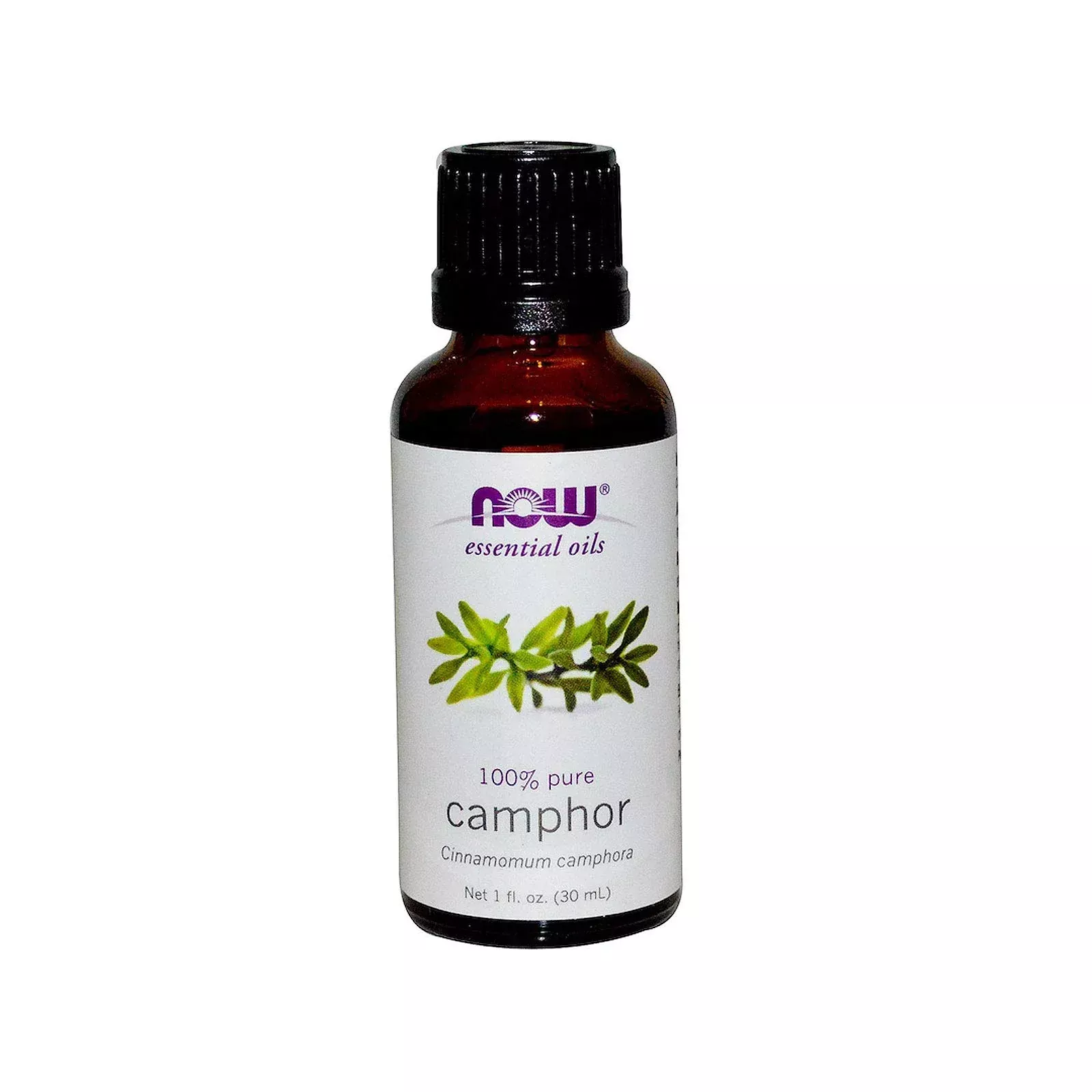 Now Foods Essential Oils Camphor - 1 Fl Oz