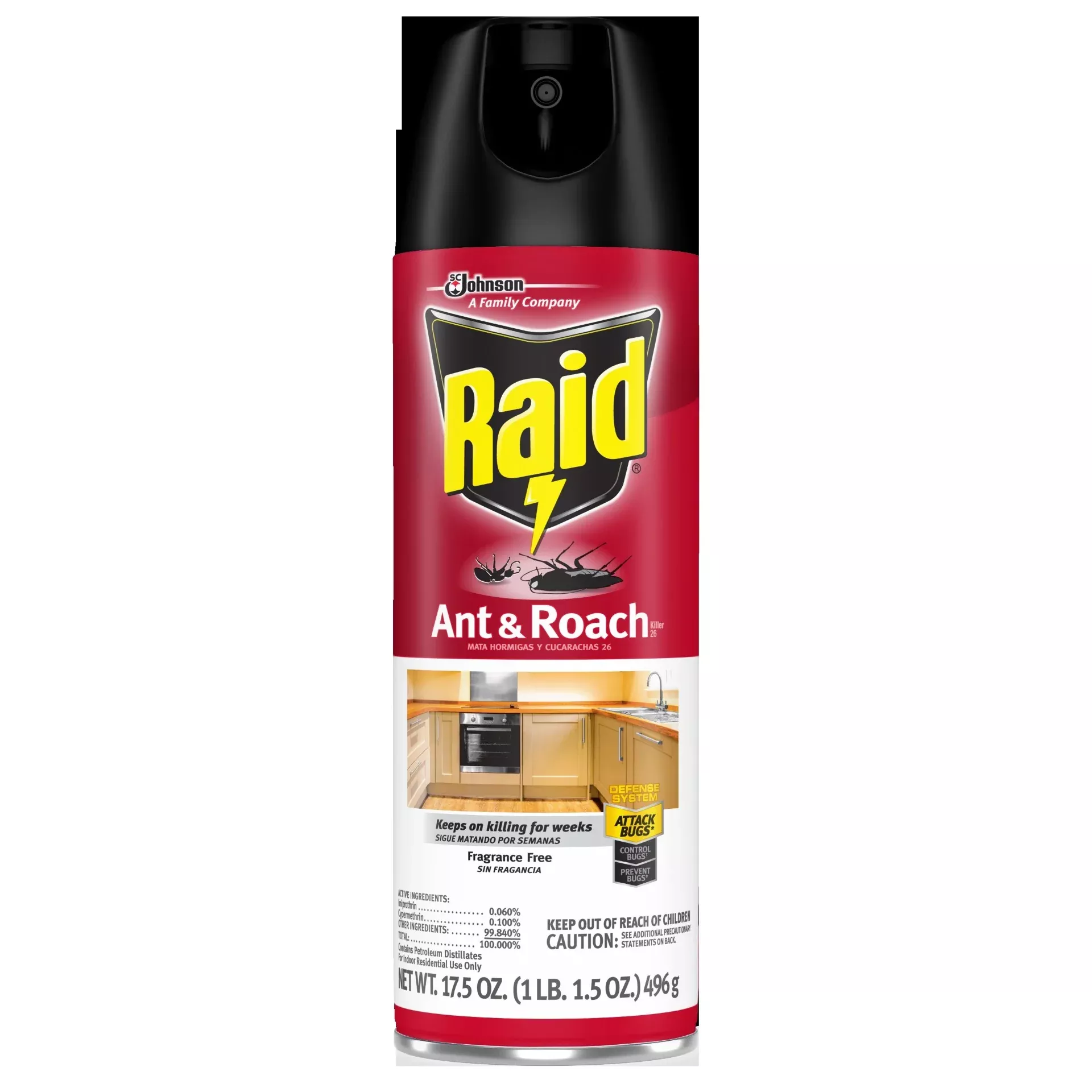 S.c. Johnson Consumer Raid Ant&roach Aerosol Fragrance Free 12 - 17.5 Ounce