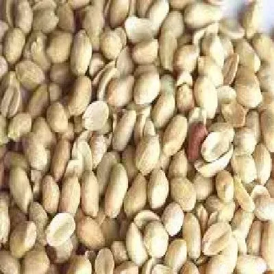Shelled Roasted Peanuts Usa, 5-Pound Bag
