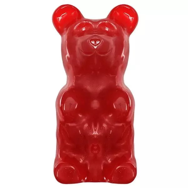 World's Largest 5 Pound Gummy Bear: 3CT Case